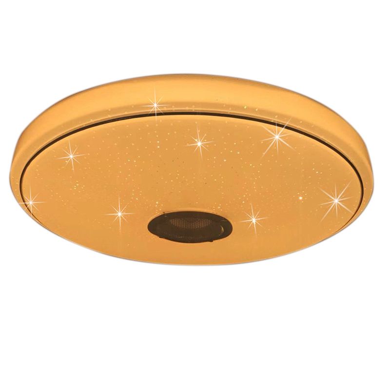 LED Flush Mount Ceiling Light Smart Mobile Phone Control Shop Light Room Light