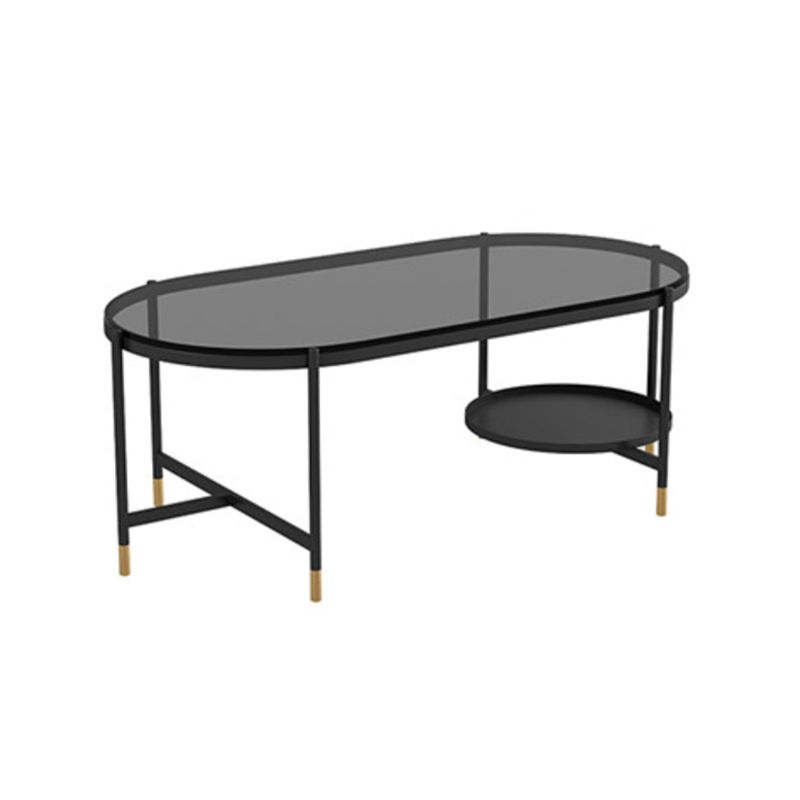 Contemporary Elliptical Glass & Slate Coffee Cocktail Table with Storage Shelf