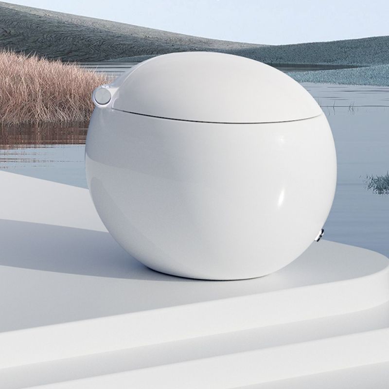 Elongated Floor Mount Bidet Egg Shaped Antimicrobial Smart Bidet