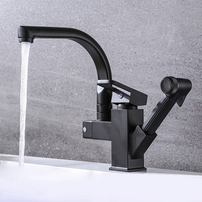 Traditional 1-Handle Faucet with Water Dispenser Standard Kitchen Faucet