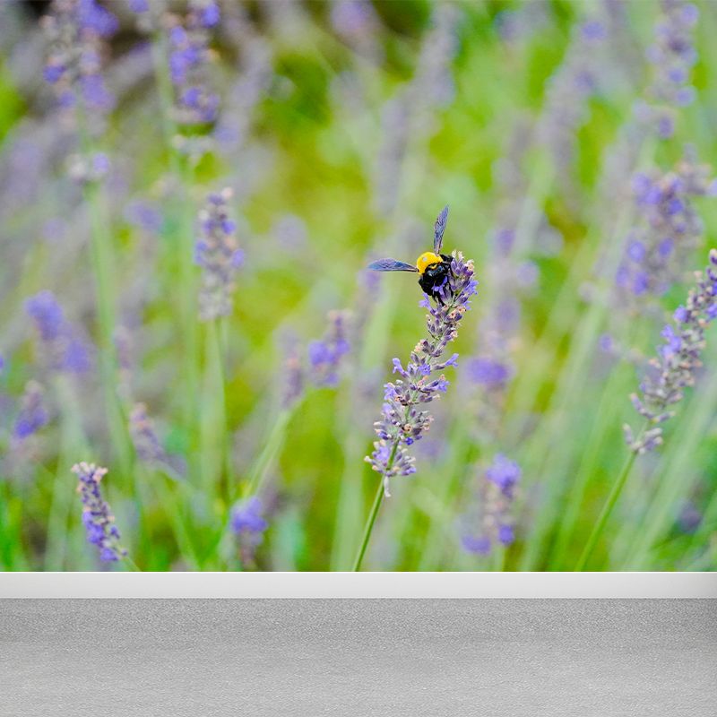 Purple Lavender Mural Wallpaper Modernism Wall Art for Home, Made to Measure