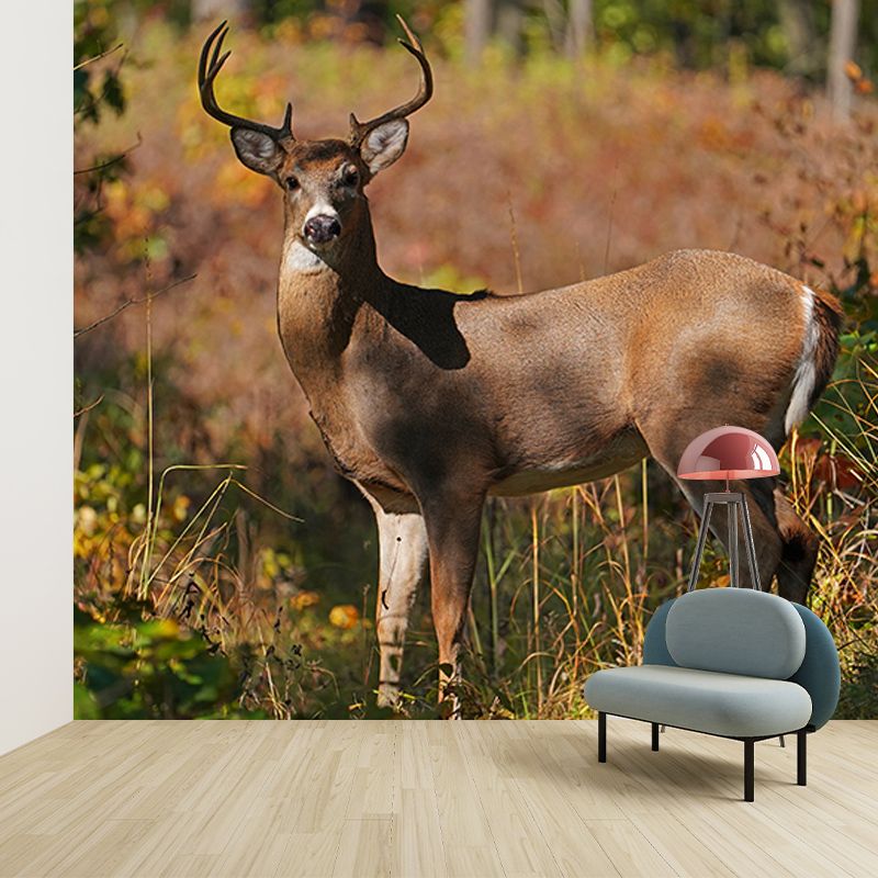 Deer Animal Minimalist Wall Covering for Living Room, Customized Size Available