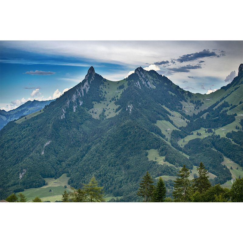 Mountain Forest Landscapes Customized Mural Eco-friendly Wallpaper for Home