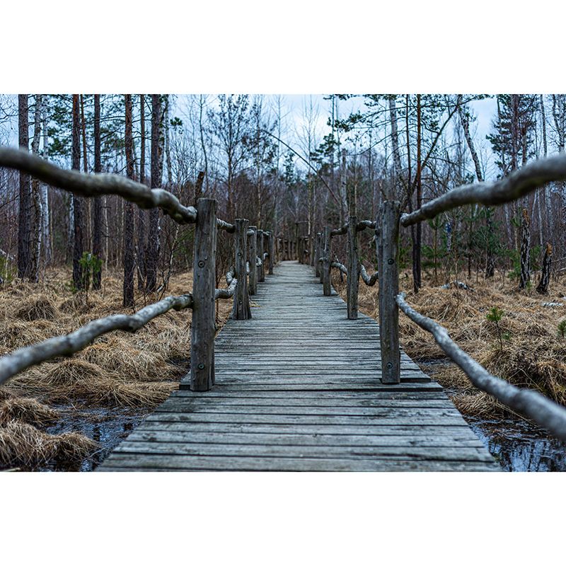 Wooden Nature Mural Industrial Style Space Extension Mural for Home