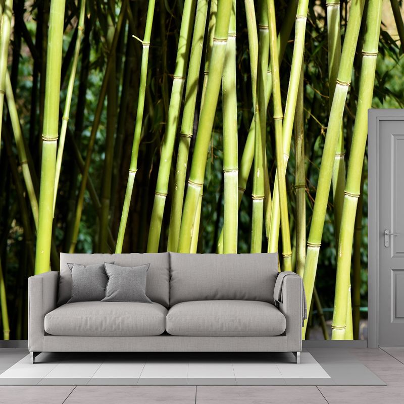 Bamboo Plant Mural Wallpaper for Sleeping Room Waterproofing, Made to Measure