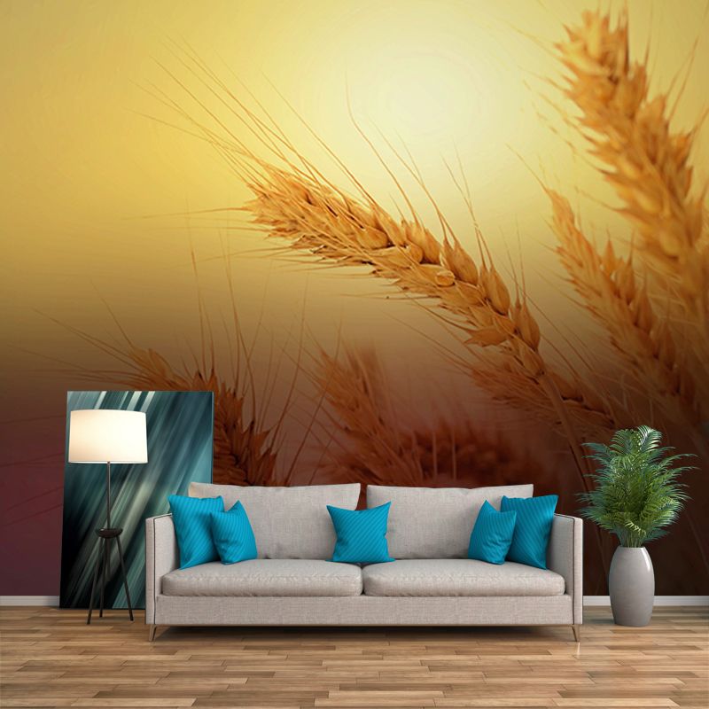 Photography Wheat Field Mildew Resistant Wallpaper Environmental Sleeping Room Wall Mural