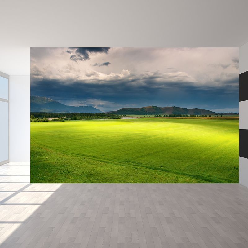 Non-Woven Waterproof Mural Modern Meadow with Moving Cloud Scenery Wall Decor in Green