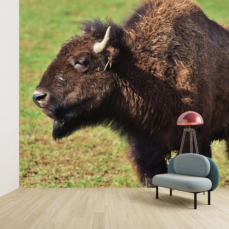 Bison Animal Wall Covering for Home Decor Water Resistant, Made to Measure