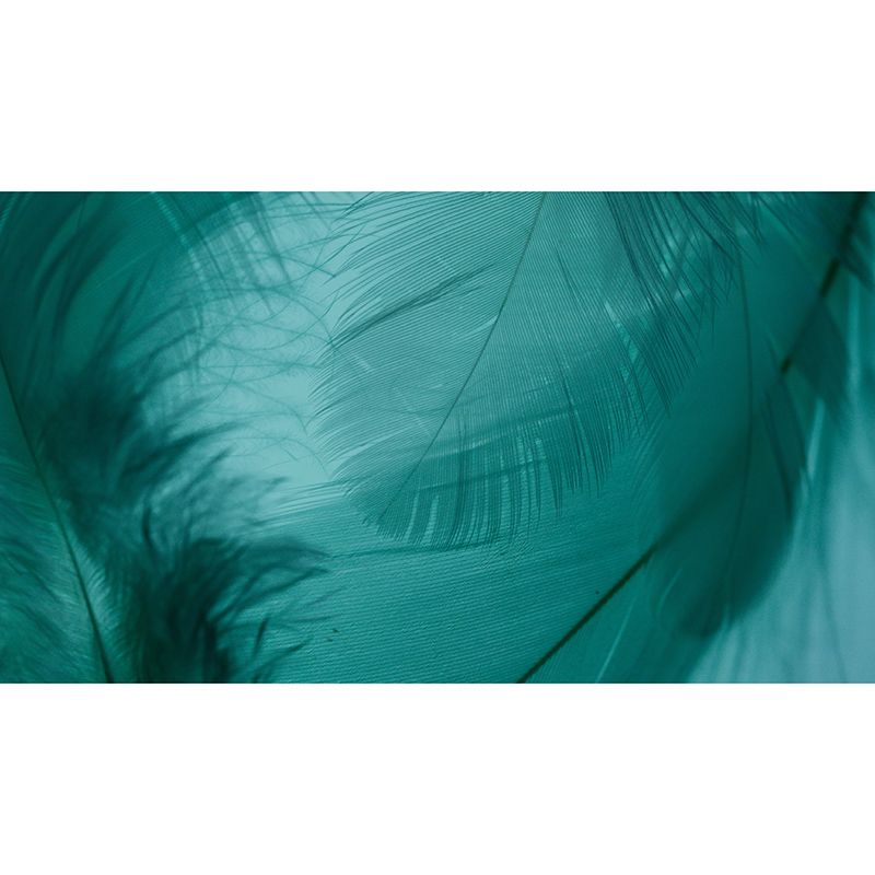 Environment Friendly Resistant Mural Wallpaper Dream Catcher Living Room Wall Mural