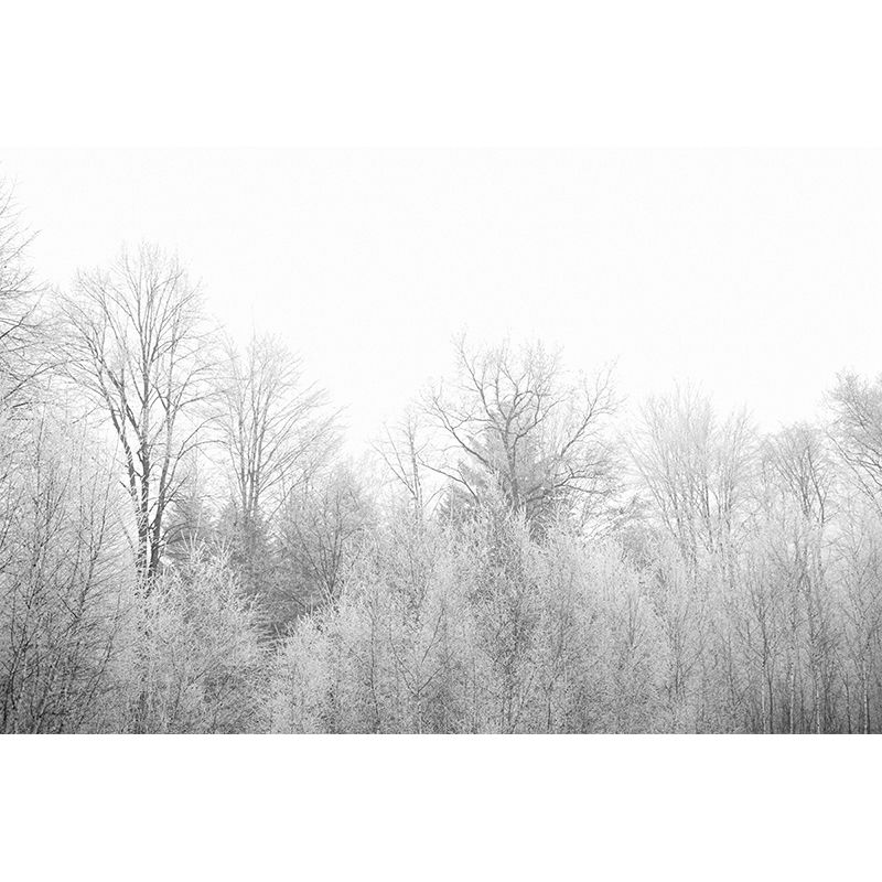 Contemporary Moisture Resistant Forest Mural Wall Covering for Dining Room Home Decor