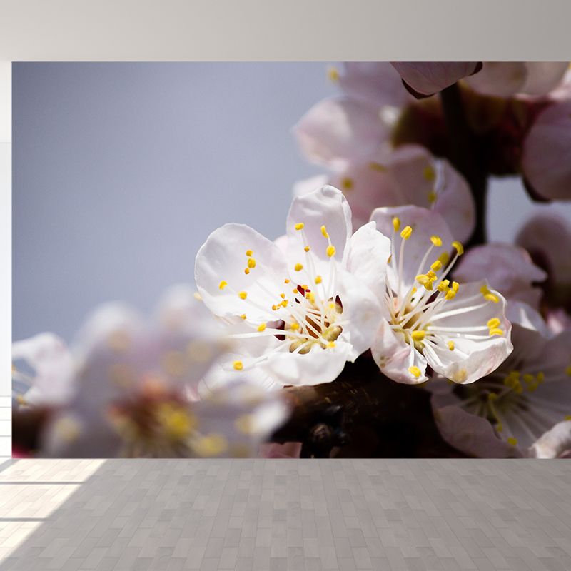 White Cherry Blossom Mural Wallpaper Moisture Resistant Wall Covering for Adults Room
