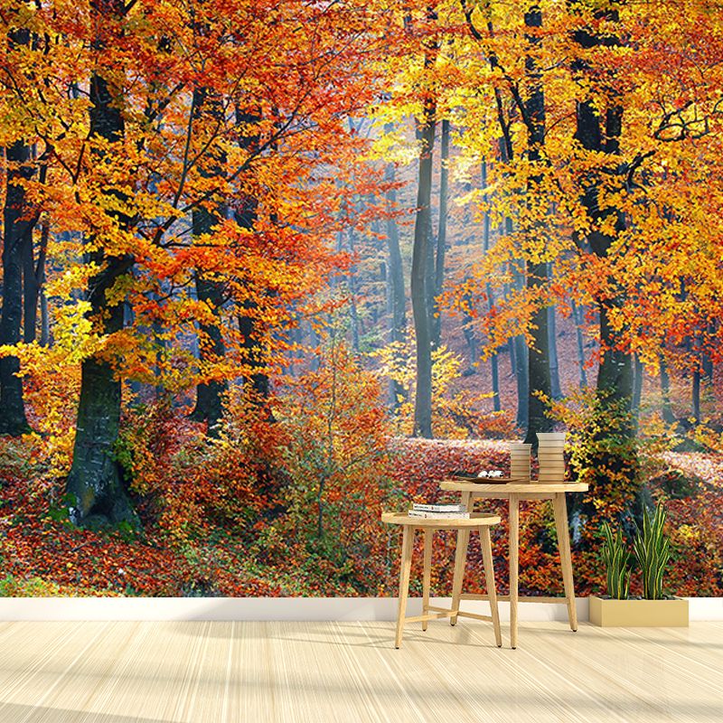 Photography Stain Resistant Wall Mural Wallpaper Forest Sitting Room Wall Mural