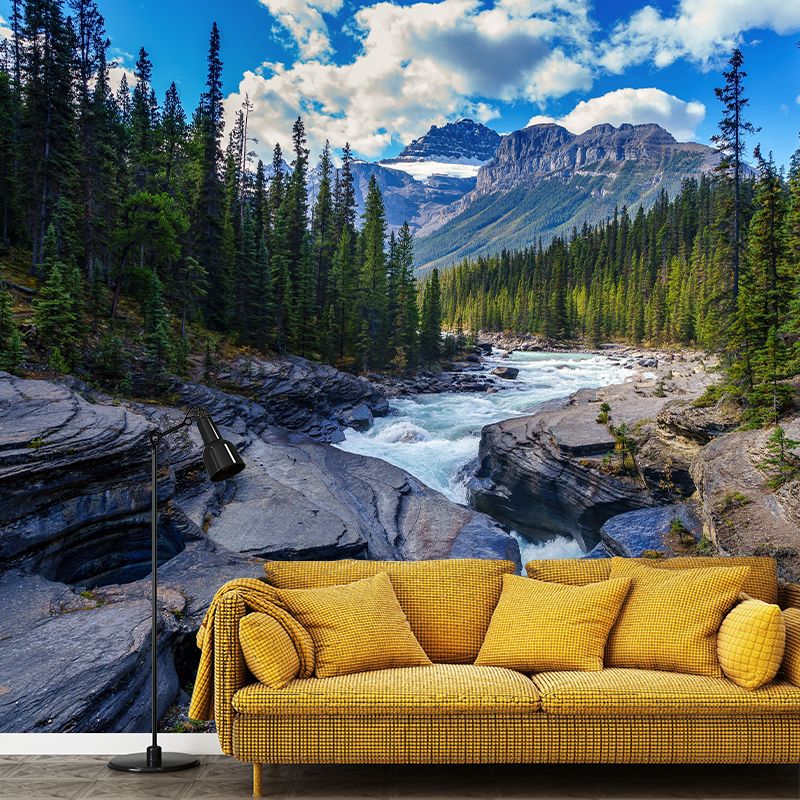Landscapes Pattern Mildew Wall Mural Horizontalt Photography for Living Room