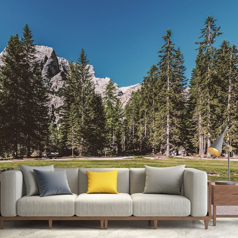 Nature Style Forest Wall Mural Wallpaper Photography Mildew Resistant for Home