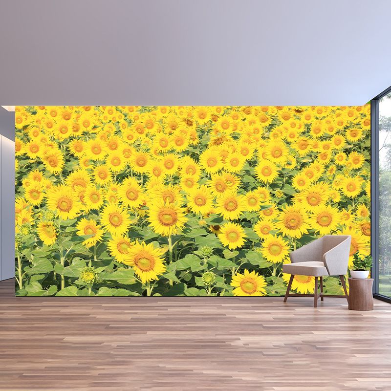 Photography Wall Mural Wallpaper Plant Sitting Room Wall Mural