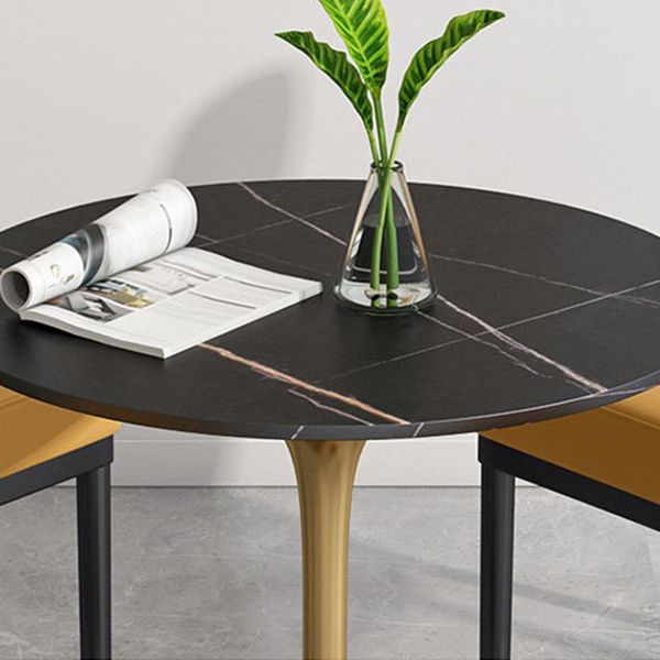 Metal Traditional Luxury Round Dining Table Sintered Stone Table with Tulip Base