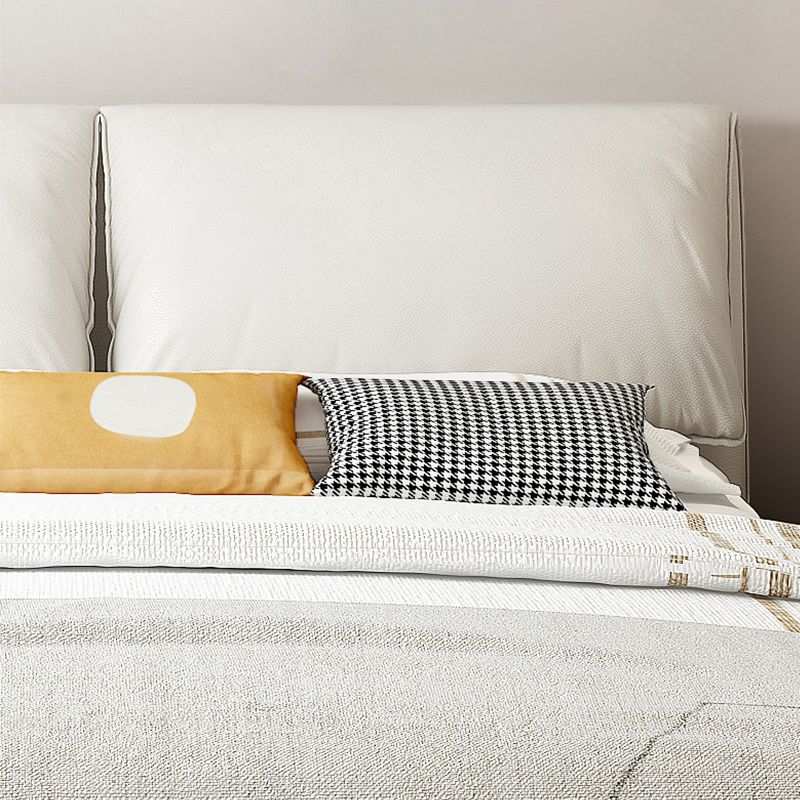 Contemporary Rectangular Panel Bed Standard Bed With Custom Gold Legs