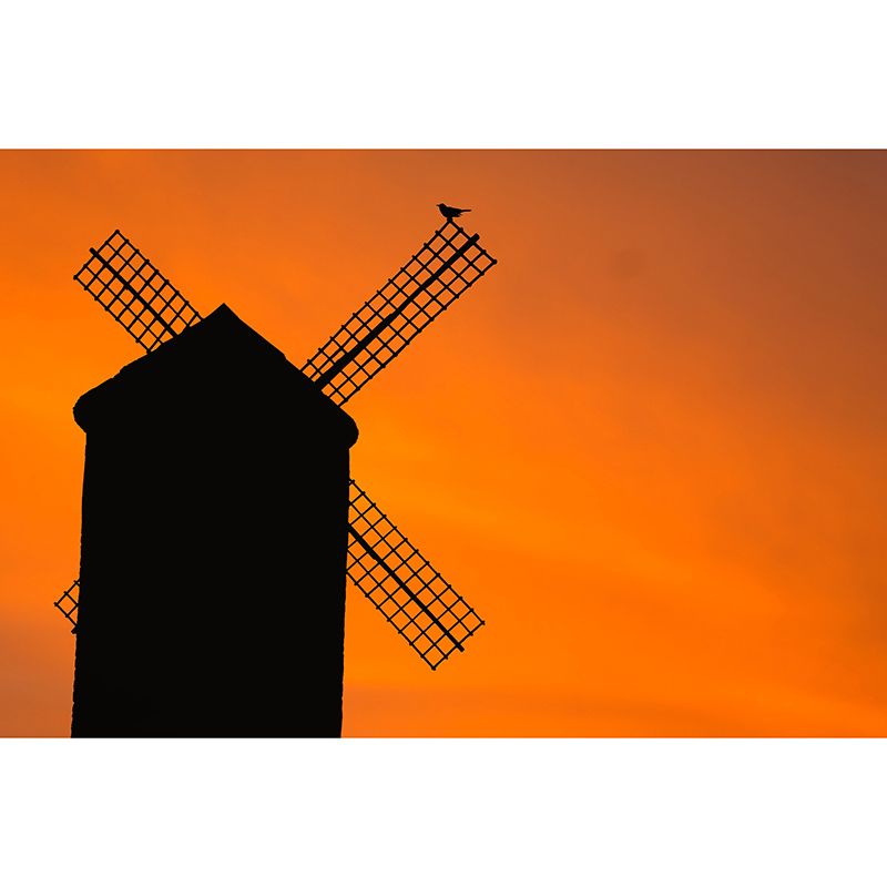 Heldere kleur muurschildering behang kleine stad windmolen schimmelbestendig muur decor