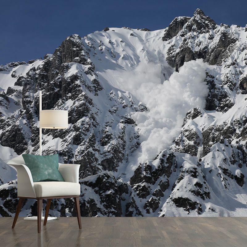 Magnificent Mountain Landscapes Mural Photography Style for Dining Room