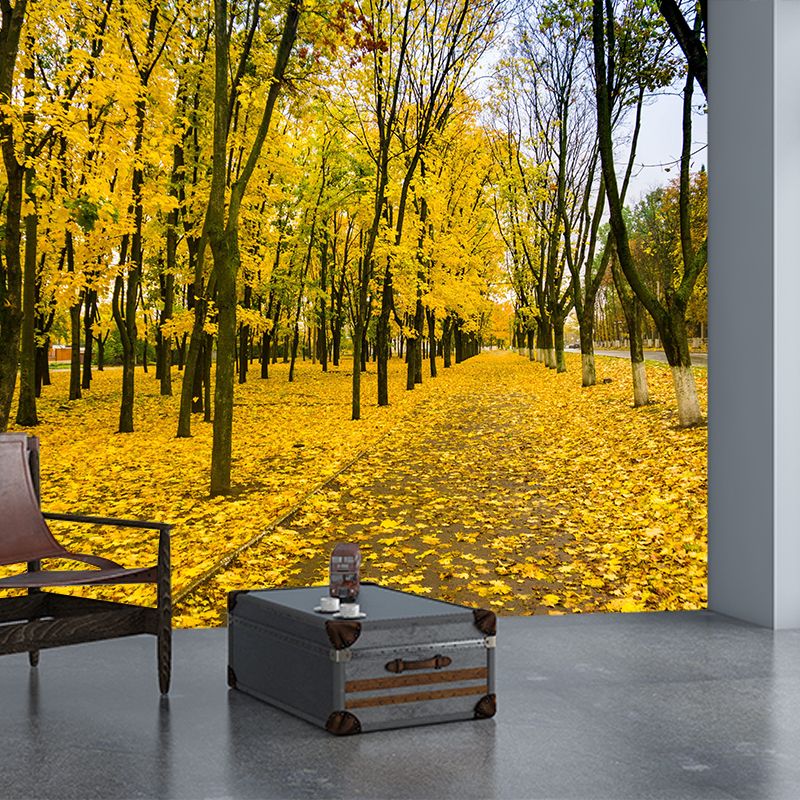 Photographic Autumn Forest Mural Mildew Resistant Wall Decor for House Interior