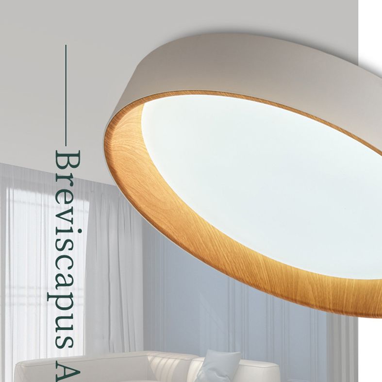 Round Flush Mount Light 1 Light Acrylic Modern Simplicity Flush Mount Spotlight for Bedroom