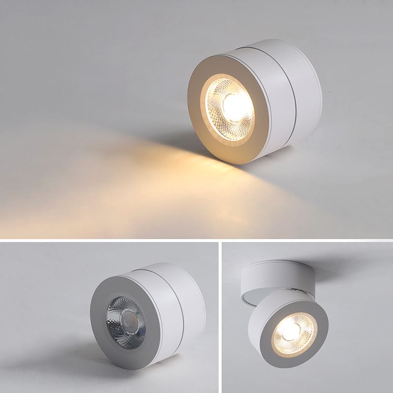 Modern Creative LED Rotatable Ceiling Light Aluminium Cylindrical Flush Mount with Clear Glass Shade