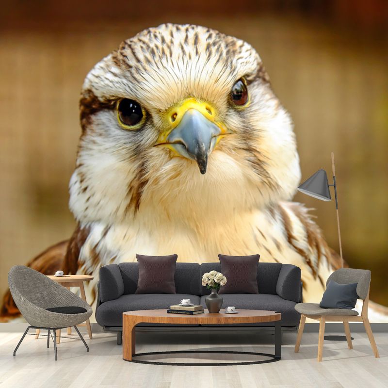 Photography Falcon Wall Mural Wallpaper Moisture Resistant Mural for Home