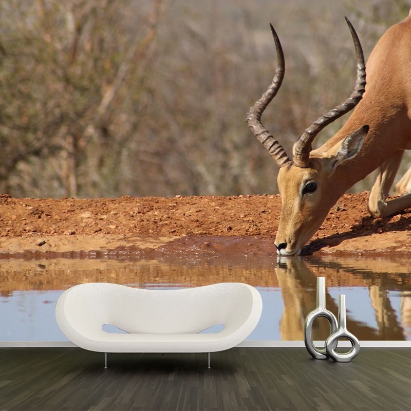 Photography Gazelle Mural Wallpaper for Sitting Room Decor Multiple Sizes Available