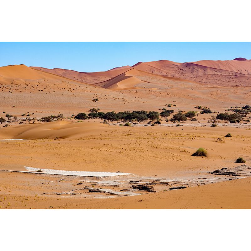 Modern Style Desert Mural Wallpaper Mildew Resistant Wall Decor