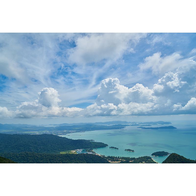 Tropical Scenery Mildew Resistant Wallpaper Photography Sleeping Room Wall Mural