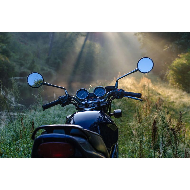 Photography Horizontal Mural Decal Decorative Wall Covering for Accent Wall