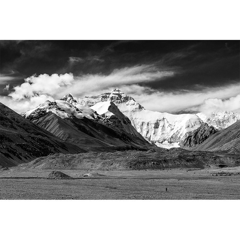 Mount Everest Wall Mural Stain Resistant Wall Covering for Living Room Bedroom