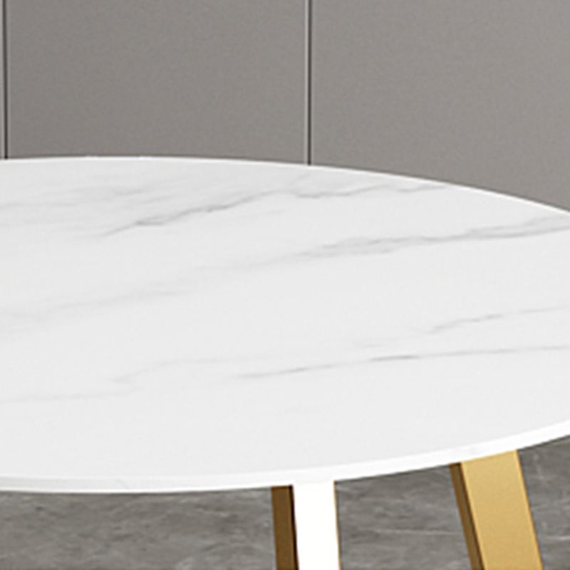 Glam 1/7 Pieces Dining Set Circular Stone Dining Table for Dining Room