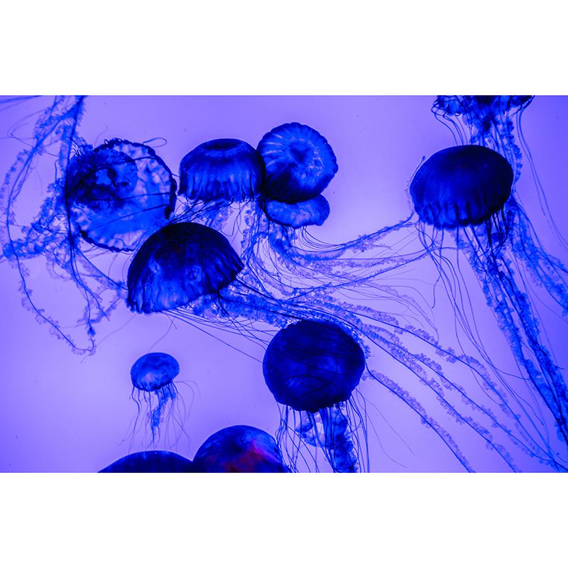 Lifelike Wall Mural Jellyfish Patterned Living Room Wall Mural