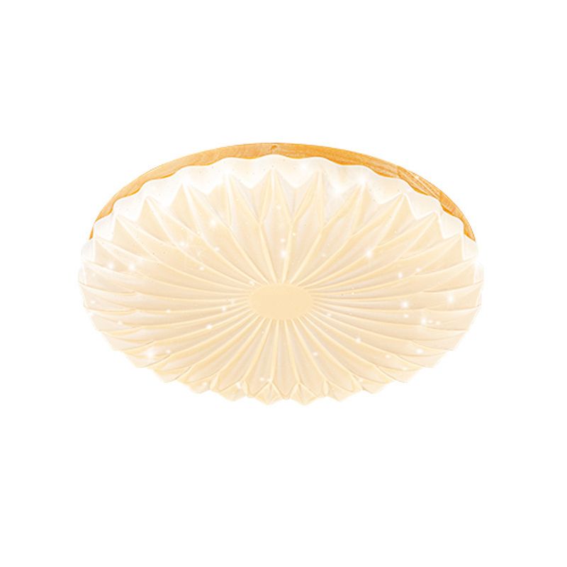 Modernism Beige Single Flush Mount Lighting Round LED Ceiling Light with Acrylic