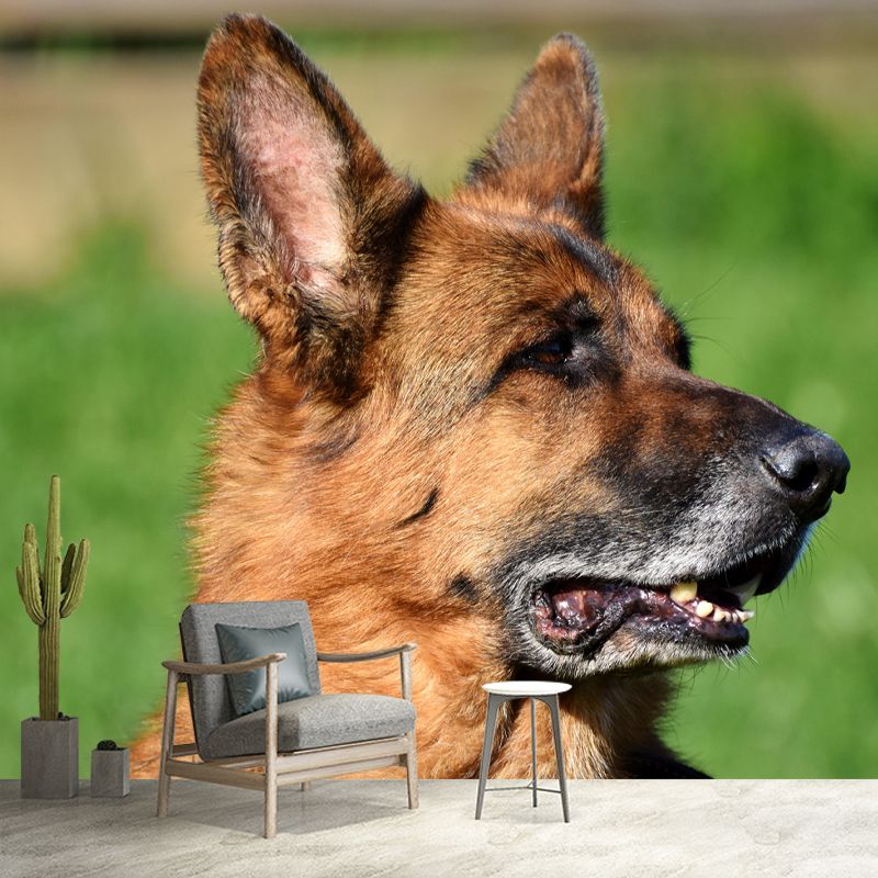 Handsome German Shepherd Mural Wall Decor Living Room Wall Covering for Decoration