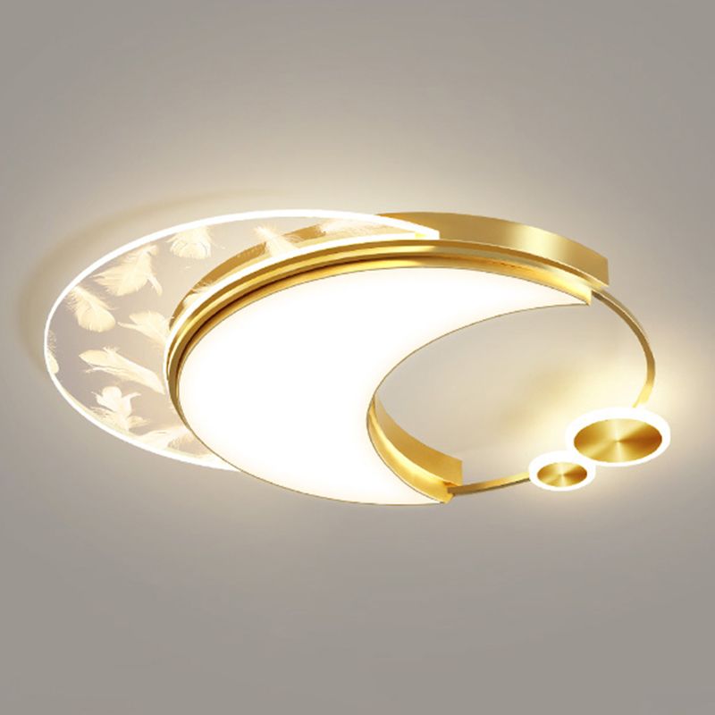 Modern Ceiling Light Fixture Simplicity Style LED Metal Flush Mount Ce