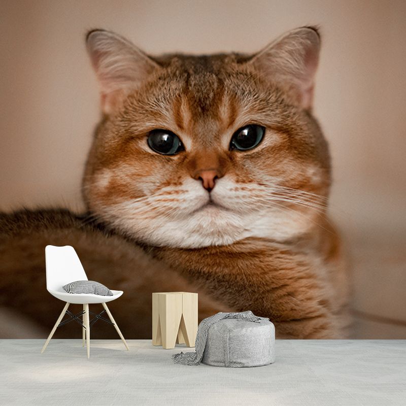 Photography Environment Friendly Mural Wallpaper Cute Cats Bedroom Wall Mural