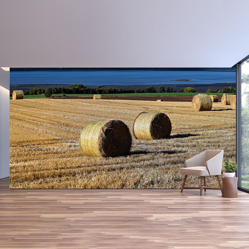Customized Straw Bales Mural Environment Friendly Wallpaper for Reading Room