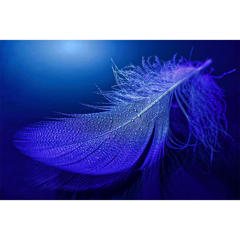 Photography Modern Pastel Color Mural Wallpaper with Bird Feathers for Girls' Bedroom