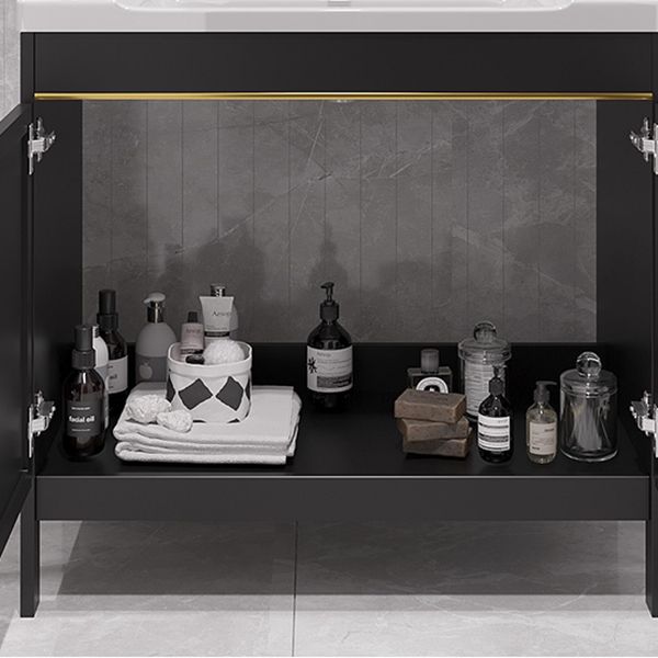 Gorgeous Bath Vanity Wall Mounted Standard Vanity Cabinet with Mirror Cabinet