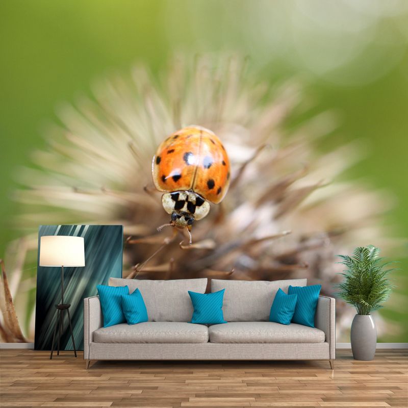 Ladybug Animal Wallpaper Mural Contemporary Style Wall Art for Living Room