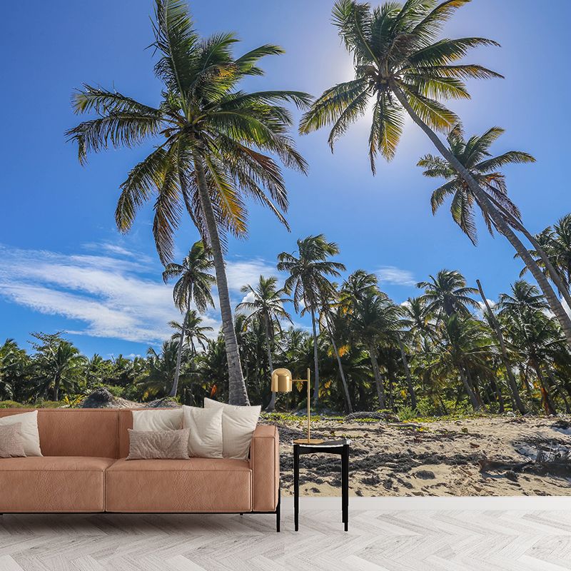 Horizontal Photography Palm Tree Mural Mildew Resistant Wallpaper for Wall Decor