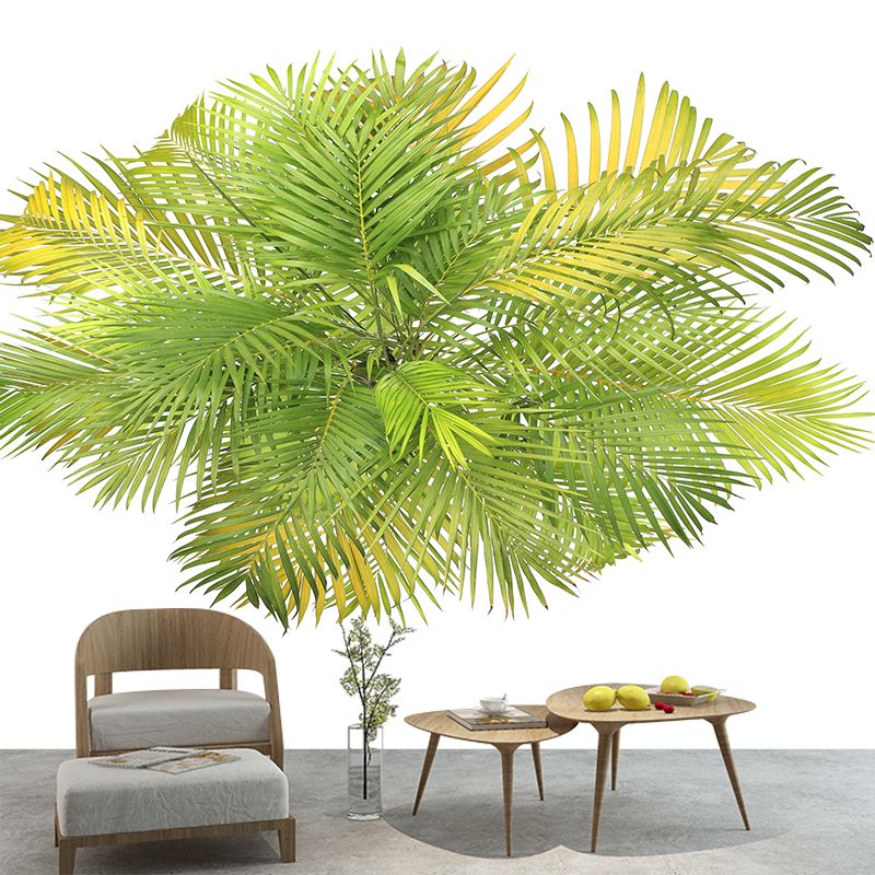 Tropical Illustration Wall Decal Stain Resistant Murals Decoration for Sleeping Room