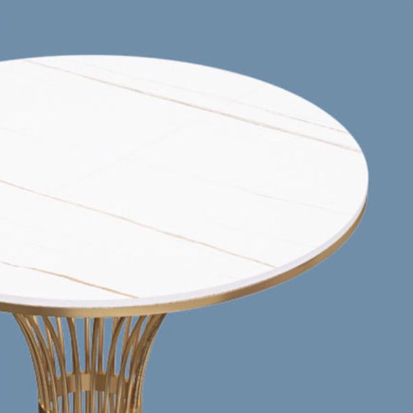 Glam Sintered Stone Dining Set Round 1/2/5 Pieces Dining Set with Pedestal Base