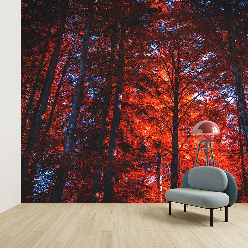 Photography Woods Mural Mildew Resistant Wallpaper Sleeping Room Wall Mural
