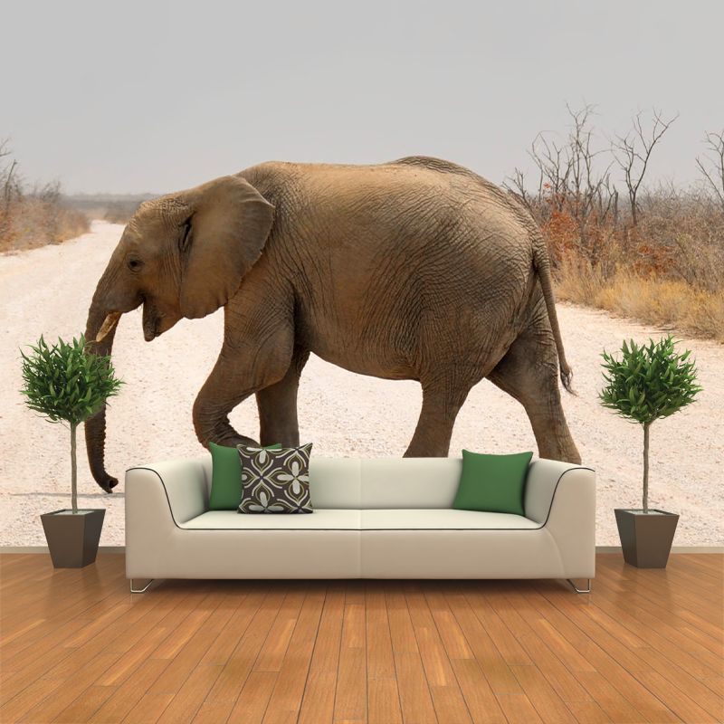 Animal Cute Photography Pattern Mildew Wall Mural Horizontalt for Living Room