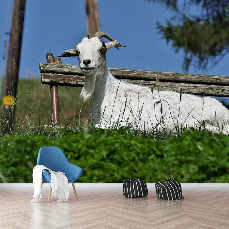 Customized Goat Wall Mural Wallpaper Horizontal Photography for Sitting Room