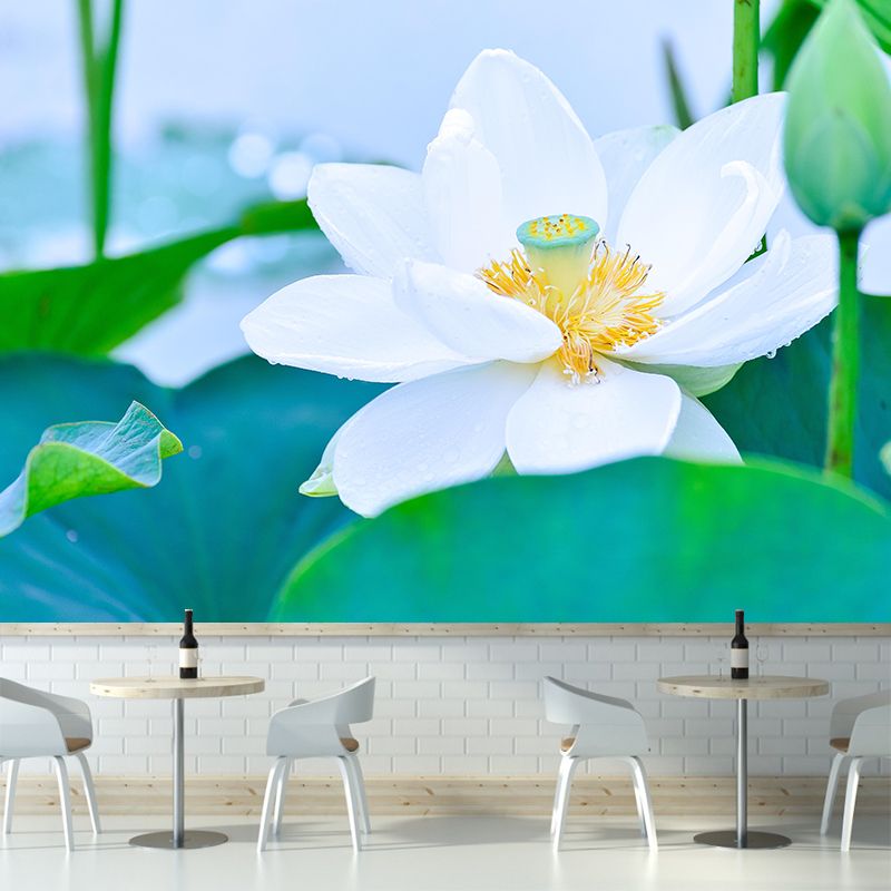 Customized Lotus Mural Wallpaper Waterproofing Wall Decor for Meeting Room