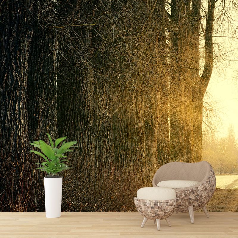 Forest Wall Mural Horizontal Photography Eco-friendly Wall Covering for Decoration